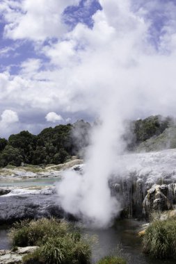 te puia Yeni Zelanda şofben rotorua