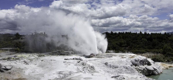 te puia new zealand geyser rotorua