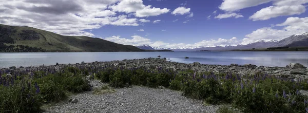 Lago Tekapo Nueva Zelanda —  Fotos de Stock