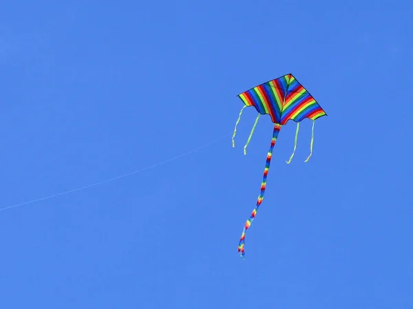 彩虹色的风筝在蓝天中盘旋 快乐童年的玩具 万里无云的心情 梦飞起来了 飞向天空 儿童的成长 户外活动 积极的生活方式 Copyspace — 图库照片