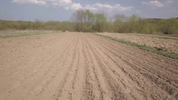Voo Sobre Campo Primavera Recém Semeado Agricultura Sector Agrícola Economia — Vídeo de Stock