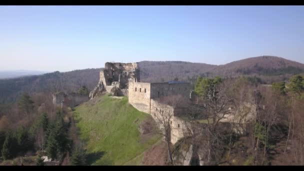 カメネツ 付近の Odjykon ポーランド 2018 中央ヨーロッパの中央ストリップの自然の風景の背景に中世の城の遺跡 ドローンのビュー フライのパノラマ — ストック動画
