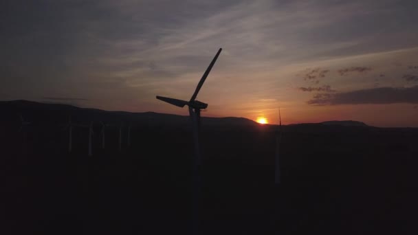 Elektrownia Wiatrowa Zachodzie Słońca Romantyczny Wieczór Nowoczesne Technologie Ekologicznie Czystej — Wideo stockowe