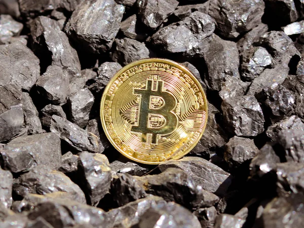 Arany Bitcoin Háttérben Szén Pénznem Mayerized Rejtvenősző Növény Bérlista Interneten — Stock Fotó