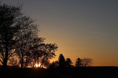 Ağaçlar ve kuzenleri bir turuncu günbatımı arka planı karanlık siluet. Romantik bir ruh hali için akşam doğa çekiliyor. Sıcak renkler. Avrupa kıtasının ılıman iklim bölgesi.