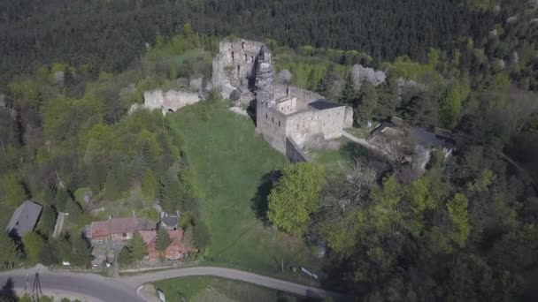 Kamieniec Pobliżu Odjykon Polska Kwietnia 2018 Starożytne Ruiny Średniowiecznego Zamku — Wideo stockowe