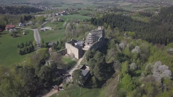 Kamenets Yakınındaki Odjykon Polonya Nisan 2018 Antik Doğal Peyzaj Orta — Stok video