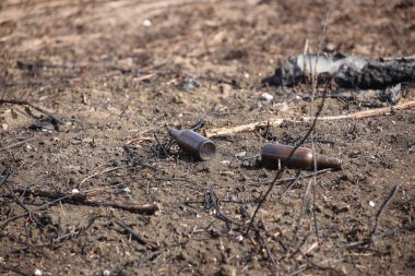 Fırınlanmış çimlerin üzerinde yanmış boş bir bardak var. Ekolojik felaket. Bahar esmer yeşil örtüsü. Yangın tehlikesi. Yaşamın ve kirliliğin yok edilmesi. Medeniyet sorunları