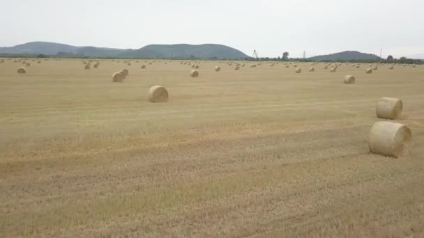Tørr Gresshøy Vridd Tette Stabler Tidspunktet Klargjøring Kvegfôr Nærmet Jordbruksmark – stockvideo