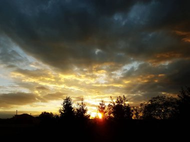 Ağaçlar ve kuzenleri bir turuncu günbatımı arka planı karanlık siluet. Romantik bir ruh hali için akşam doğa çekiliyor. Sıcak renkler. Avrupa kıtasının ılıman iklim bölgesi