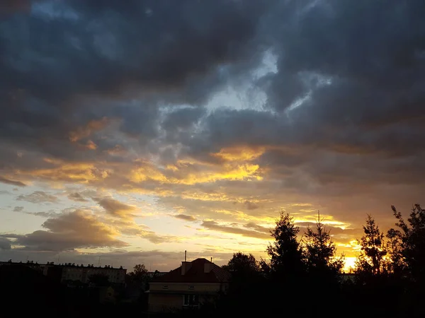 Silhueta escura de árvores e primos contra o fundo de um pôr-do-sol laranja. A natureza noturna se dobra para um clima romântico. Cores quentes. A região do clima temperado do continente europeu — Fotografia de Stock