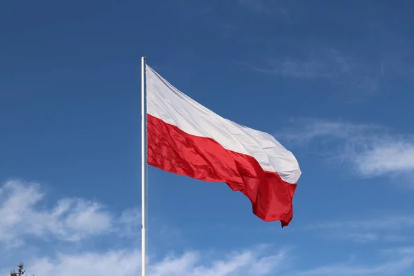 Bandeira horizontal branco-vermelho em um mastro de bandeira em desenvolvimento no vento contra um céu azul com nuvens de luz. Símbolo do Estado polaco — Fotografia de Stock