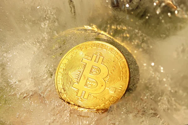 Una moneta d'oro bitcoin congelato nel ghiaccio coperto con gocce di umidità iridescente nei raggi di luce. Il congelamento dei beni finanziari. Caduta e crescita del business online. Tasso di criptovaluta — Foto Stock