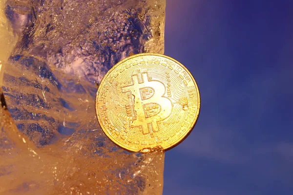 Una moneta d'oro bitcoin congelato nel ghiaccio coperto con gocce di umidità iridescente nei raggi di luce. Il congelamento dei beni finanziari. Caduta e crescita del business online. Tasso di criptovaluta — Foto Stock