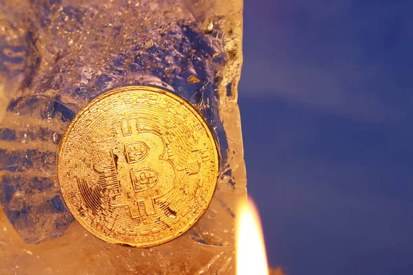 Una moneta d'oro bitcoin congelato nel ghiaccio coperto con gocce di umidità iridescente nei raggi di luce. Il congelamento dei beni finanziari. Caduta e crescita del business online. Tasso di criptovaluta — Foto Stock