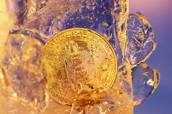 Una moneta d'oro bitcoin congelato nel ghiaccio coperto con gocce di umidità iridescente nei raggi di luce. Il congelamento dei beni finanziari. Caduta e crescita del business online. Tasso di criptovaluta — Foto Stock