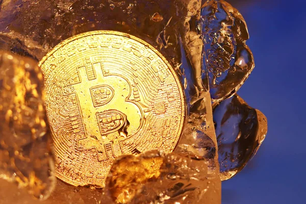 Una moneta d'oro bitcoin congelato nel ghiaccio coperto con gocce di umidità iridescente nei raggi di luce. Il congelamento dei beni finanziari. Caduta e crescita del business online. Tasso di criptovaluta — Foto Stock