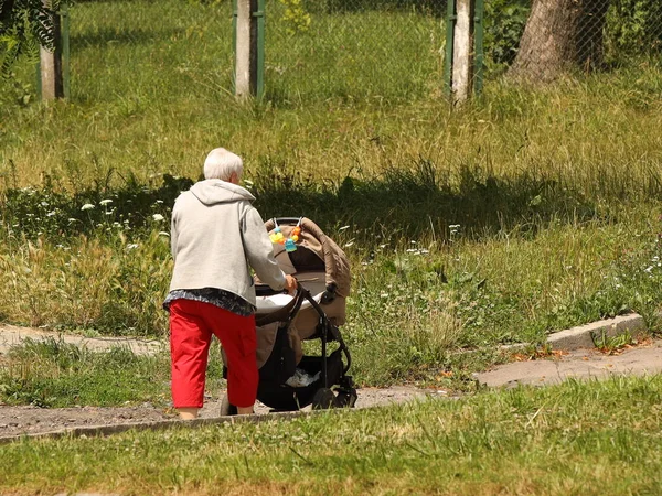一位老年妇女提着婴儿车在夏日的绿地中行走。一个女家庭教师正在街上照看一个孩子.养育孩子的时候，孩子们都很强壮，很老练。婴儿在新鲜空气中睡觉。老年人的社会化 — 图库照片