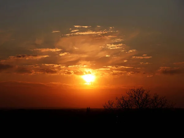Dunkle Silhouette von Bäumen und Vettern vor dem Hintergrund eines orangefarbenen Sonnenuntergangs. Abends verfällt die Natur in eine romantische Stimmung. warme Farben. die Region des gemäßigten Klimas des europäischen Kontinents — Stockfoto