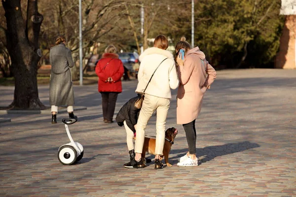 Ibu Muda Dengan Bayi Berjalan Jalan Taman Aktivitas Anak Hoverboard — Stok Foto