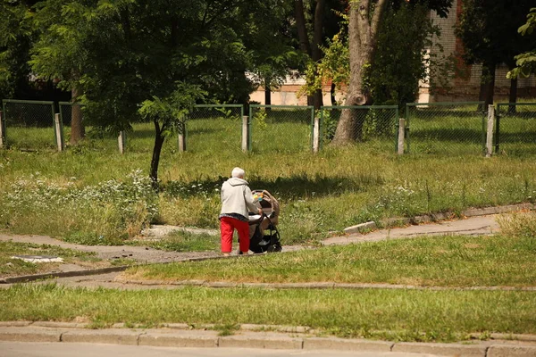 Uma Mulher Idosa Caminha Com Carrinho Entre Vegetação Verão Uma — Fotografia de Stock