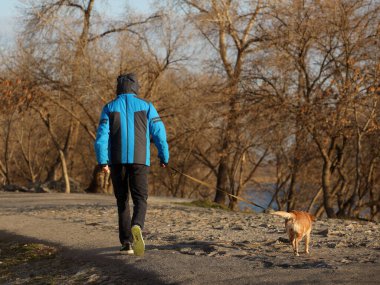 Sokak köpeği kaldırımda oturur ve dağınık ekmek parçalarına bakar. Evsiz hayvan. Ailenin gözdesinin üzücü kaderi. Duyarlı varlıkları kurtarmak. Büyük bir şehrin caddesi. Atılmış ve kaybedilmiş.