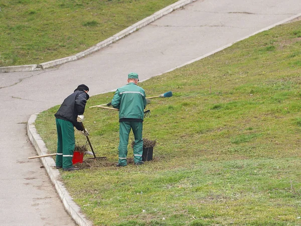 Dos Empleados Del Servicio Municipal Están Limpiando Césped Verde Una — Foto de Stock