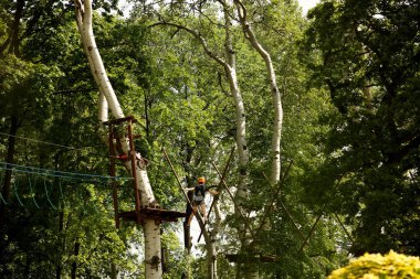 Yaslo, Polonya - 872019: Genç bir kız kaya tırmanışı için parktaki ağaçlara tırmanıyor. Spor etkinlikleri için İskandinav cazibesi. İp sigortası ve koruma araçları. Yükseklikte güvenlik.