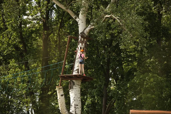 Yaslo Poland 2019 Ένα Νεαρό Κορίτσι Σκαρφαλώνει Δέντρα Ταχύτητα Ένα Εικόνα Αρχείου