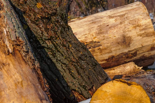 A stack of big size of firewood for the winter — Stock Photo, Image