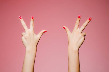 Pembe arka planda izole edilmiş, parlak manikürlü bir kadının elleri.