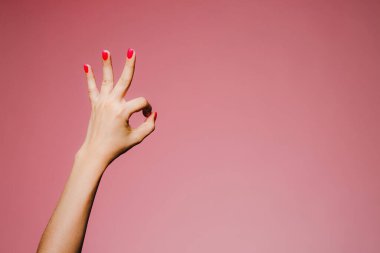 Pembe arka planda izole edilmiş parlak manikürlü bir kadının elleri.