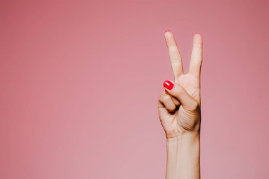Pembe arka plan barış jestine izole edilmiş parlak manikürlü kadınların elleri.