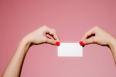 Kadının elleri pembe üzerine izole edilmiş boş bir kartvizit tutuyor.