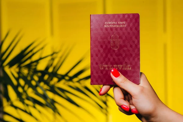 Женщина Держит Венгерский Паспорт Желтом Фоне Пальмой — стоковое фото