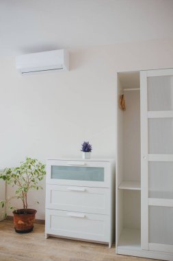 Parlak bitki ve modern beyaz çekmece sandığı.