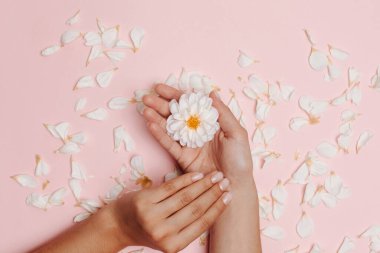 Kadının elleri beyaz bir yıldız çiçeği tutuyor, arka planda bir sürü taç yaprağı..