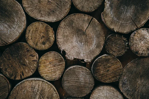 Big Tree Stumps Background — Stock Photo, Image