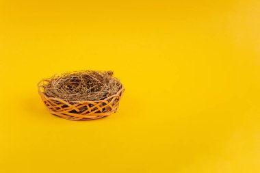 Sarı arka planda bir yuva. Paskalya kartpostalı kavramı. Çiftlikte organik et ve yumurta.