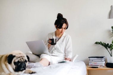 Genç, güzel bir kız kitap okuyor ve izolasyon altındaki bir köpeğin yanında yatağında çay içiyor. Merkez ofis. Tecrit altında çalışma ve öğrenim kavramı.