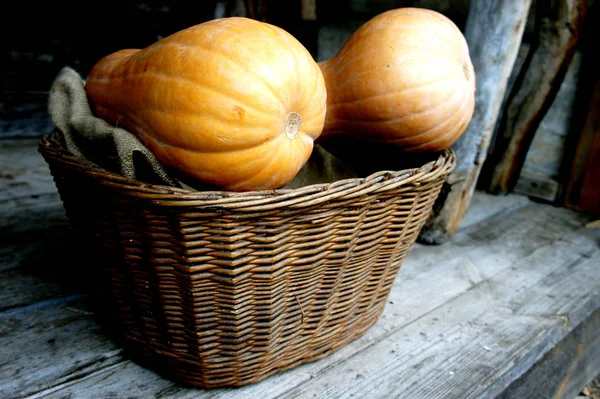 Calabaza Una Canasta Mimbre — Foto de Stock