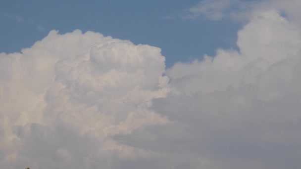 洁白的云朵漂浮在蓝蓝的天空上 — 图库视频影像