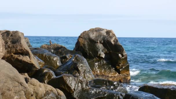 Mořské Vlny Spěchají Kamenitý Břeh — Stock video