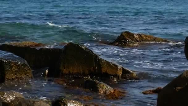 Orilla Rocosa Del Mar Las Olas Del Mar Precipitan Hacia — Vídeo de stock