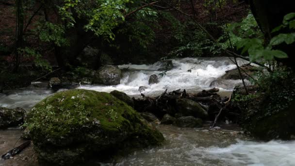 一条快山的小溪 春季洪水 — 图库视频影像