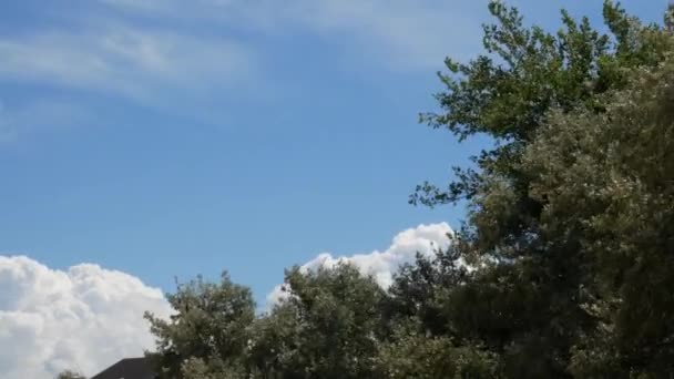 Chmurami Unoszących Się Powietrzu Timelapse — Wideo stockowe