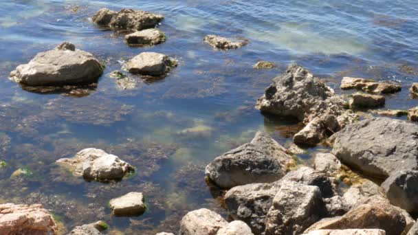 岩石海岸 平静的海 — 图库视频影像