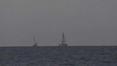 Denizde yelkenli tekne yelken.