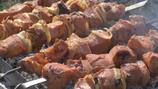 Mięso Jest Smażone Grill Apetyczny Shish Kebab — Wideo stockowe