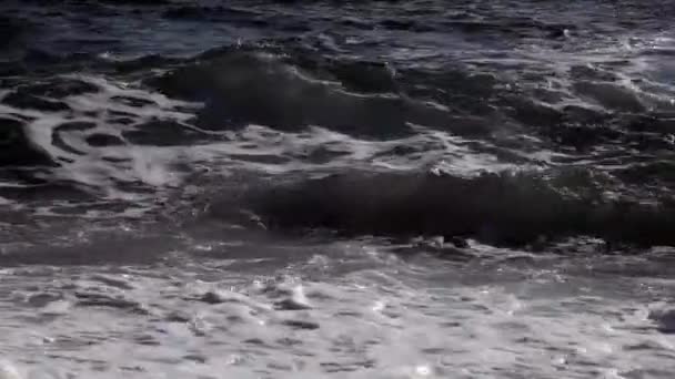 Waves Roll Shore Storm Clean Water — Stock Video